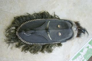 Rare Tribal Clan Spirit Cult Ancestor Mask Nassa Sepik Guinea Art 44 