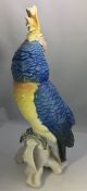Vintage Karl Ens Germany Large Cockatoo Parrot Bird Figurine Figurines photo 1