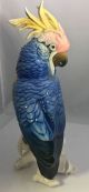 Vintage Karl Ens Germany Large Cockatoo Parrot Bird Figurine Figurines photo 2