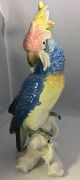 Vintage Karl Ens Germany Large Cockatoo Parrot Bird Figurine Figurines photo 3