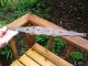 Interesting Rare Antique Hinge Iron 1900 ' S Carpentry Projects Old Home Remodel Other Antique Hardware photo 6