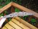 Interesting Rare Antique Hinge Iron 1900 ' S Carpentry Projects Old Home Remodel Other Antique Hardware photo 7