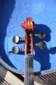 Old French Violin Bertholini Label 4/4 String photo 9