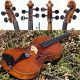 Fine Antique Violin Labelled J.  B.  Schweitzer,  Pestini 1813.  Great,  Mellow Tone String photo 9