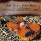Fine Antique Violin Labelled J.  B.  Schweitzer,  Pestini 1813.  Great,  Mellow Tone String photo 3