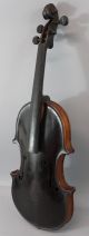 Rare Antique Unique American 1884 L.  Peterson,  4/4 Rosewood Violin,  Nr String photo 1
