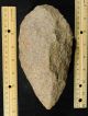 A Big Million Year Old Early Stone Age Acheulean Handaxe Mauritania 955gr E Neolithic & Paleolithic photo 3