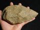 A Big Million Year Old Early Stone Age Acheulean Handaxe Mauritania 955gr E Neolithic & Paleolithic photo 7