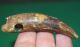 Antique African Tribally Drilled Crocodile Tooth Pendant Amulet Congo,  Africa Jewelry photo 3