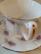 Royal Imperial Finest Bone China,  Made In England,  Pink Roses Cups & Saucers photo 2