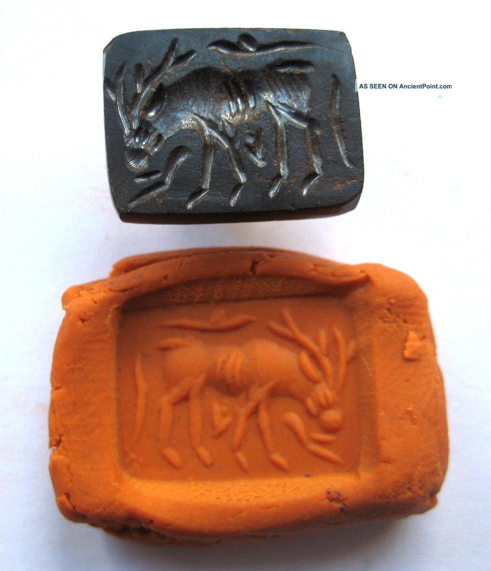 Circa.  400 A.  D Sassanian Empire Zoomorphic Pirite Seal Matrix - Elk Detail Near Eastern photo