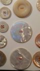 Antique Card Of 45 Mother Of Pearl Carved Buttons Some Matching Buttons photo 3