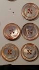 Antique Card Of 45 Mother Of Pearl Carved Buttons Some Matching Buttons photo 4