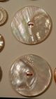 Antique Card Of 45 Mother Of Pearl Carved Buttons Some Matching Buttons photo 5