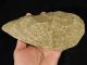 A Big Million Year Old Early Stone Age Acheulean Handaxe Mauritania 933gr Neolithic & Paleolithic photo 3