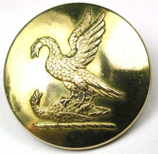 Antique Brass Livery Button - 1 Eagle Attacks Another - Armfield - 1 photo