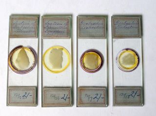 4 X Early Petrology Microscope Slides Of Derbyshire Limestone Sections photo