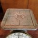 Antique Landers,  Frary And Clark Columbia Family Scale (0 - 24 Lbs) Pat: 4 - 16 - 1907 Scales photo 7