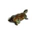 Rare Antique African Bronze Ashanti Gold Weight A Turtle Sculptures & Statues photo 4
