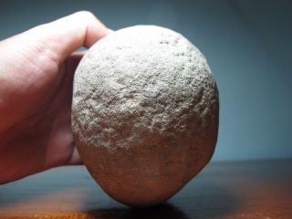 Stunning Neolithic Drilled Stone 4.  5 Inch 1280 Grams Artifect Menhir Area [tm4] photo