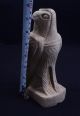 Huge Ancient Egyptian Carved Limestone Horus Statue As Falcon 664 Bc - 332 Bc Egyptian photo 6