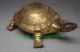 China Folk Feng Shui Brass Copper Longevity Turtle Tortoise Statue Sculpture Other Antique Chinese Statues photo 1