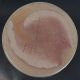 1985 Beaumont Pottery Salt Glaze Crock Cobalt Deer Palm Tree York Maine Fine Jar Primitives photo 4