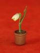 Vintage Vienna Bronze Cold Painted - Lily Of The Valley Flower In Pot Metalware photo 1