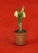 Vintage Vienna Bronze Cold Painted - Lily Of The Valley Flower In Pot Metalware photo 2