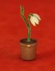 Vintage Vienna Bronze Cold Painted - Lily Of The Valley Flower In Pot Metalware photo 3