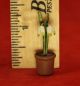 Vintage Vienna Bronze Cold Painted - Lily Of The Valley Flower In Pot Metalware photo 5