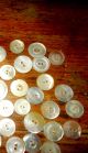 Antique Buttons 45 Mop Abalone Shell Creamy Shades As Found Buttons photo 2