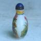 China Exquisite Hand - Painted Lotus Flower Butterflie Pattern Glass Snuff Bottle Snuff Bottles photo 1