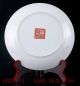 Chinese Porcelain Handmade Years Pattern Plate Qianlong Mark Pz048 Plates photo 5