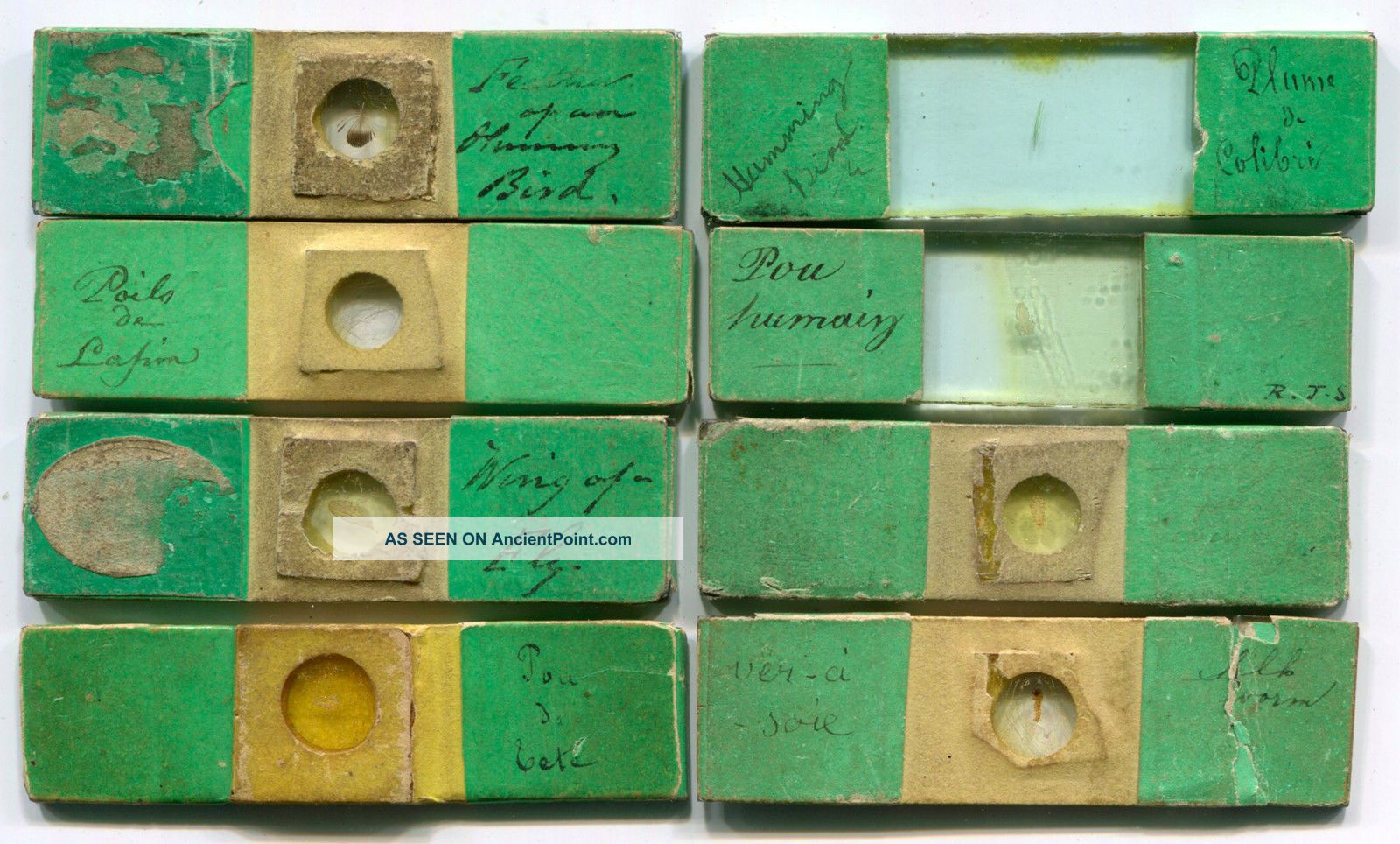 8 Very Early Joseph Bourgogne Microscope Slides,  Ca.  1840s Microscopes & Lab Equipment photo