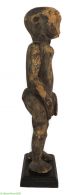 Dinka Male Figure S.  Sudan 28 Inch African Art Was $590 Sculptures & Statues photo 2