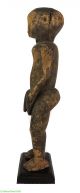 Dinka Male Figure S.  Sudan 28 Inch African Art Was $590 Sculptures & Statues photo 3