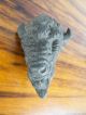 Antique Pair Metal Figural Buffalo Head Hardware Animal Handles Cigar Box Decor Drawer Pulls photo 9