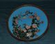 Large Antique Japanese Cloisonne Charger Plate Meiji Era Turquoise Plates photo 2