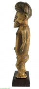 Zande (azande) Figure Female On Custom Stand Congo Africa Sculptures & Statues photo 2