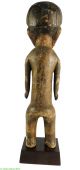 Zande (azande) Figure Female On Custom Stand Congo Africa Sculptures & Statues photo 3