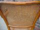 Antique Vintage Thonet Side Chair Cane Bent Wood England 1900-1950 photo 4