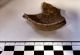 Antique Roman Pottery Fragmet From Holbury Nr Dean In Wiltshire (england) Roman photo 2