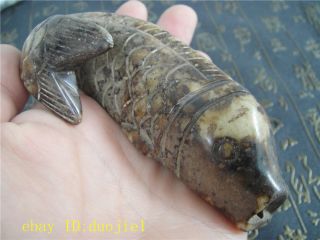 Ancient China Old Natural Jade Hand - Carved Lucky Fish Statue D55 photo