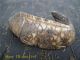 Ancient China Old Natural Jade Hand - Carved Lucky Fish Statue D55 Other Chinese Antiques photo 1