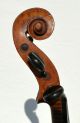 Authentic Hopf Violin,  Ready To Play,  Great Tone String photo 4