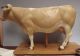 Cow [ Plaster Model ] Disssectable { Biology } Veterinary [ Hauptner ] Rare Scientific Instruments photo 2