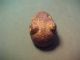 Bactrian Stone Amulet (animal Head) Circa 1st Millennium Bc. Near Eastern photo 1