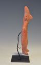 Pre Columbian Colima Flat Male Gingerbread Pottery Archaic Figure Headress 5.  7 