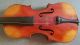 Antique 1900 ' S Germany Antonius Stradivarius Cremonensis Conservatory Violin 4/4 String photo 1